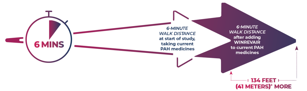 In STELLAR, Adults With PAH Who Added WINREVAIR Increased Their 6-Minute Walk Distance by Approximately 134 Feet (41 Meters), Compared to Their 6-Minute Walk Distance at the Start of the Study.