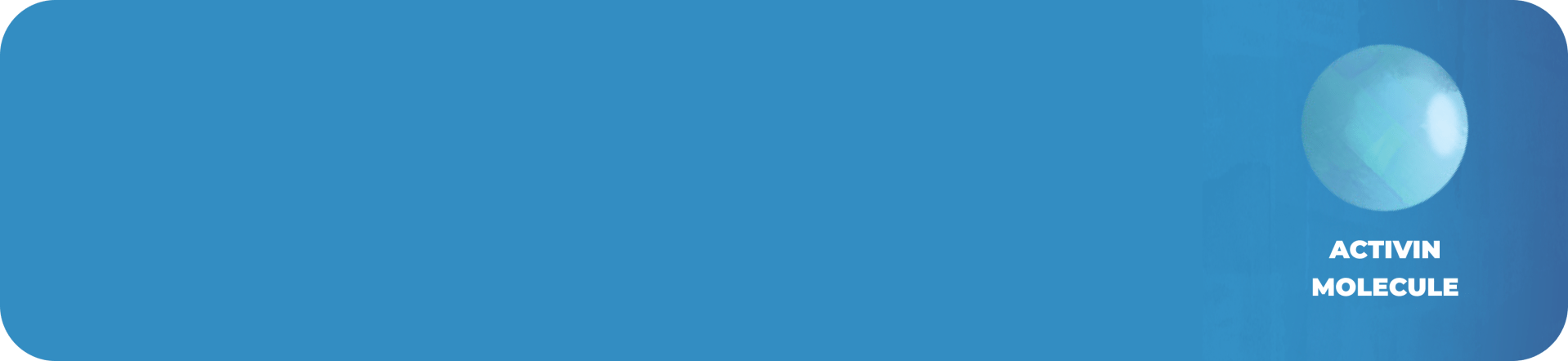 Representation of an Activin Molecule