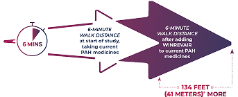 In STELLAR, Adults With PAH Who Added WINREVAIR Increased Their 6-Minute Walk Distance by Approximately 134 Feet (41 Meters), Compared to Their 6-Minute Walk Distance at the Start of the Study.